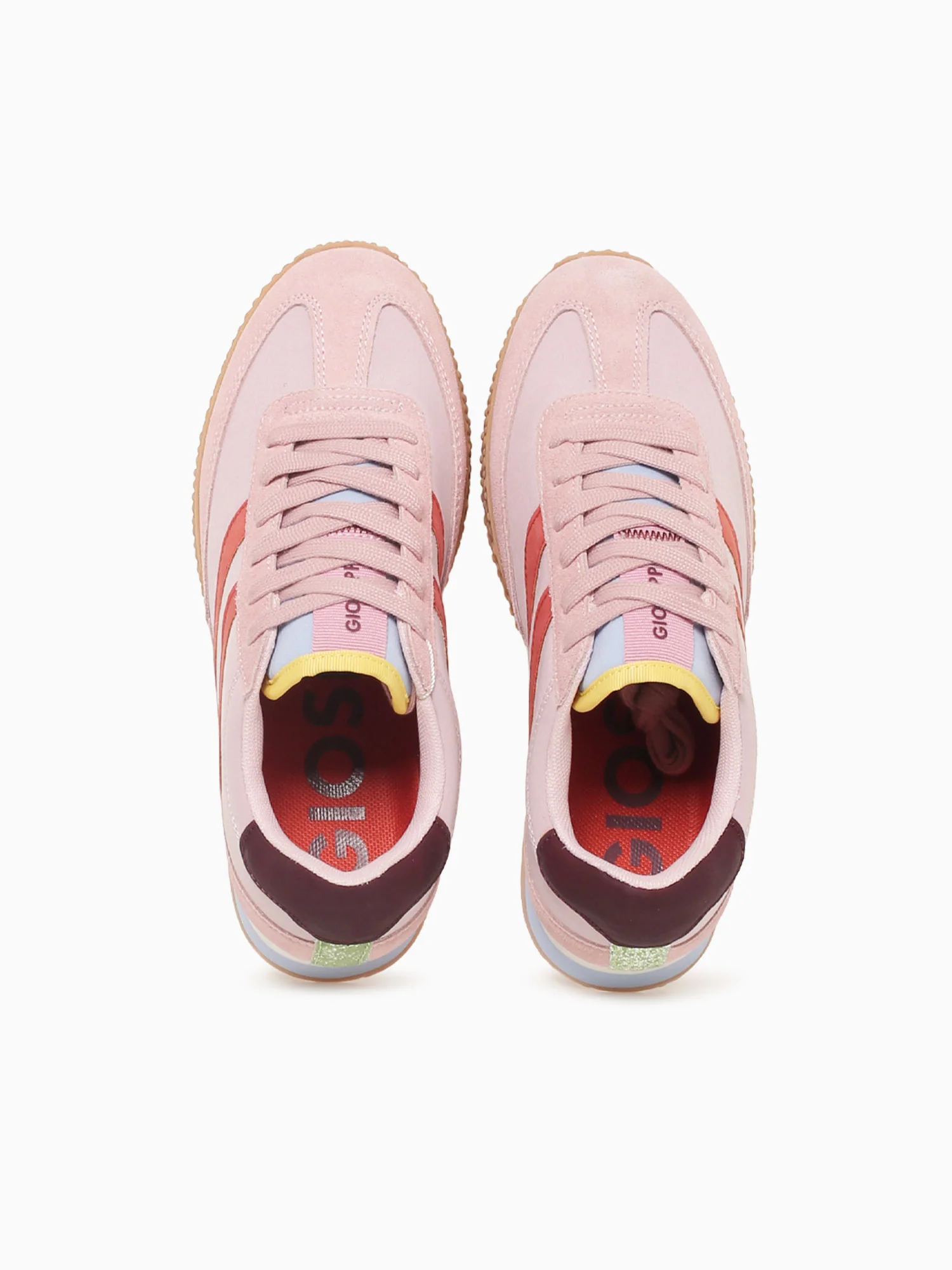 Conger Rosa Lea - Image 7