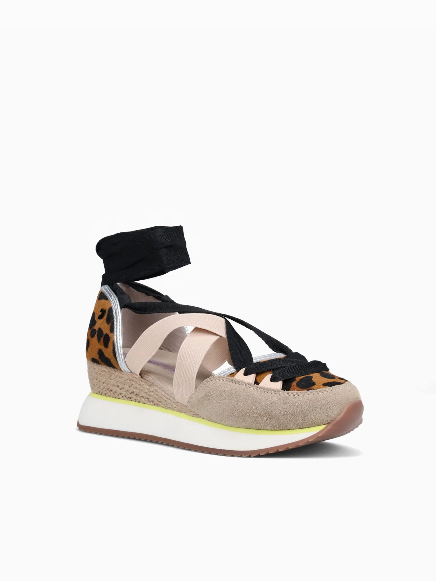 Ludlow Leopardo - Image 2