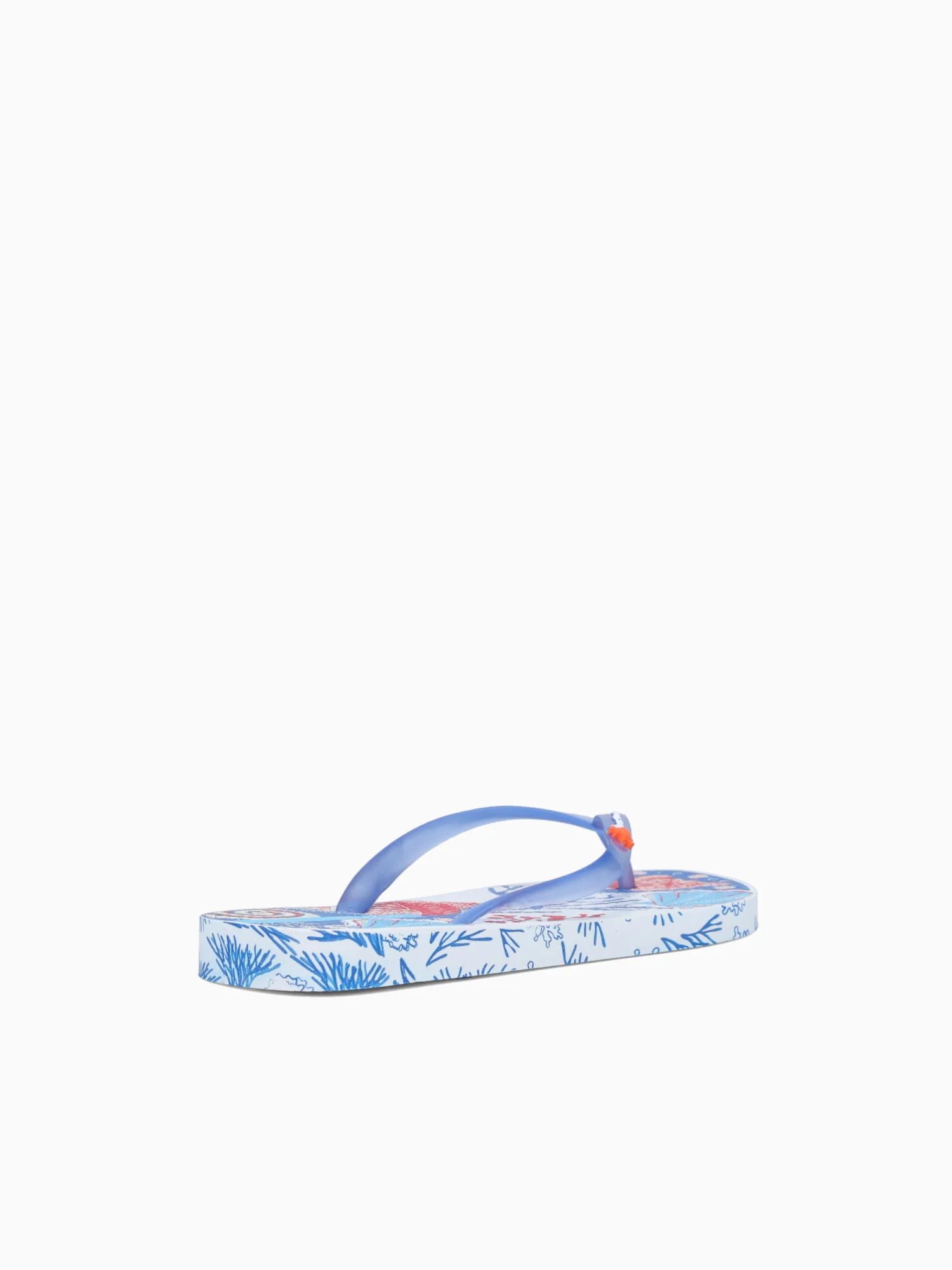 Ipa Sem Igual White Blue Red multi - Image 6