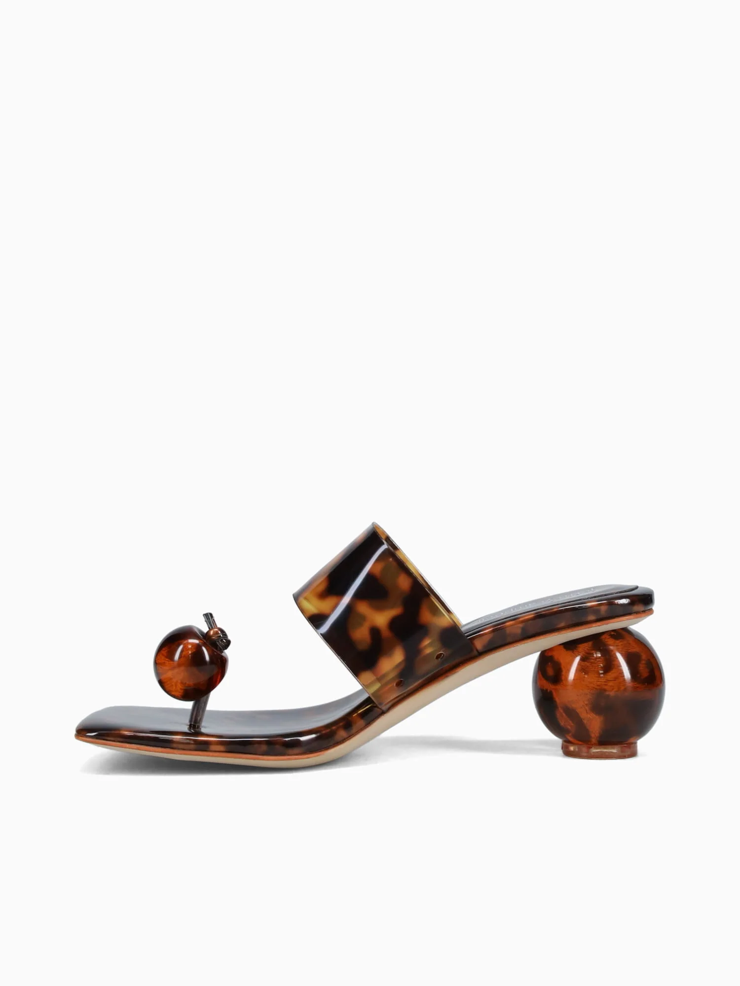 Latus Tortoise Vinyl - Image 3