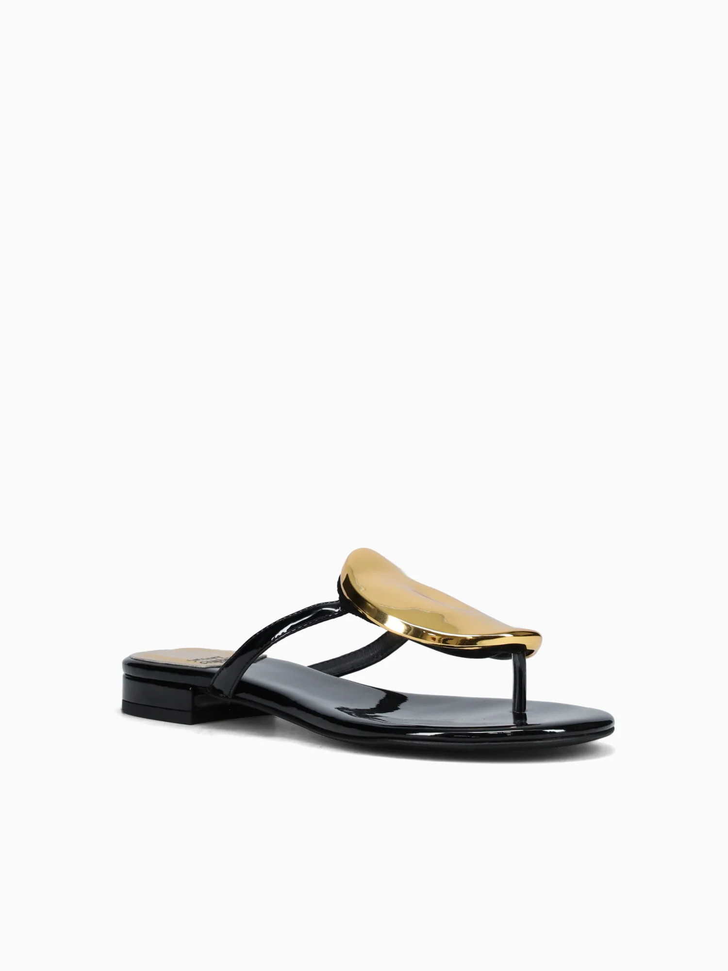 Shieldlo Black Shiny - Image 2