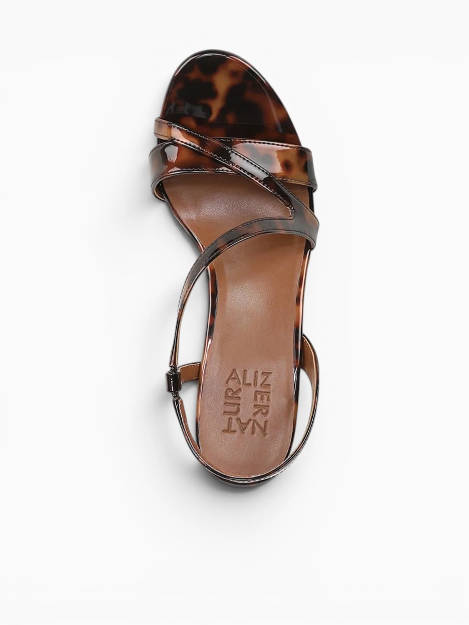 Abby Brown Tortoise - Image 4
