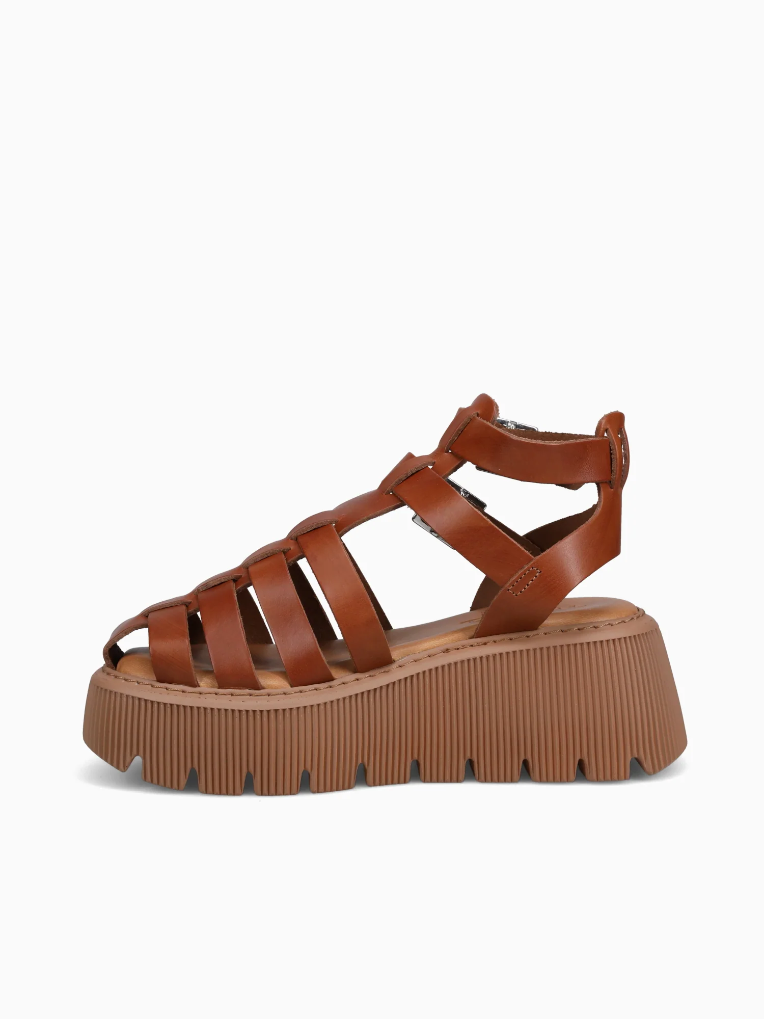 5434 Tan Pelle - Image 3