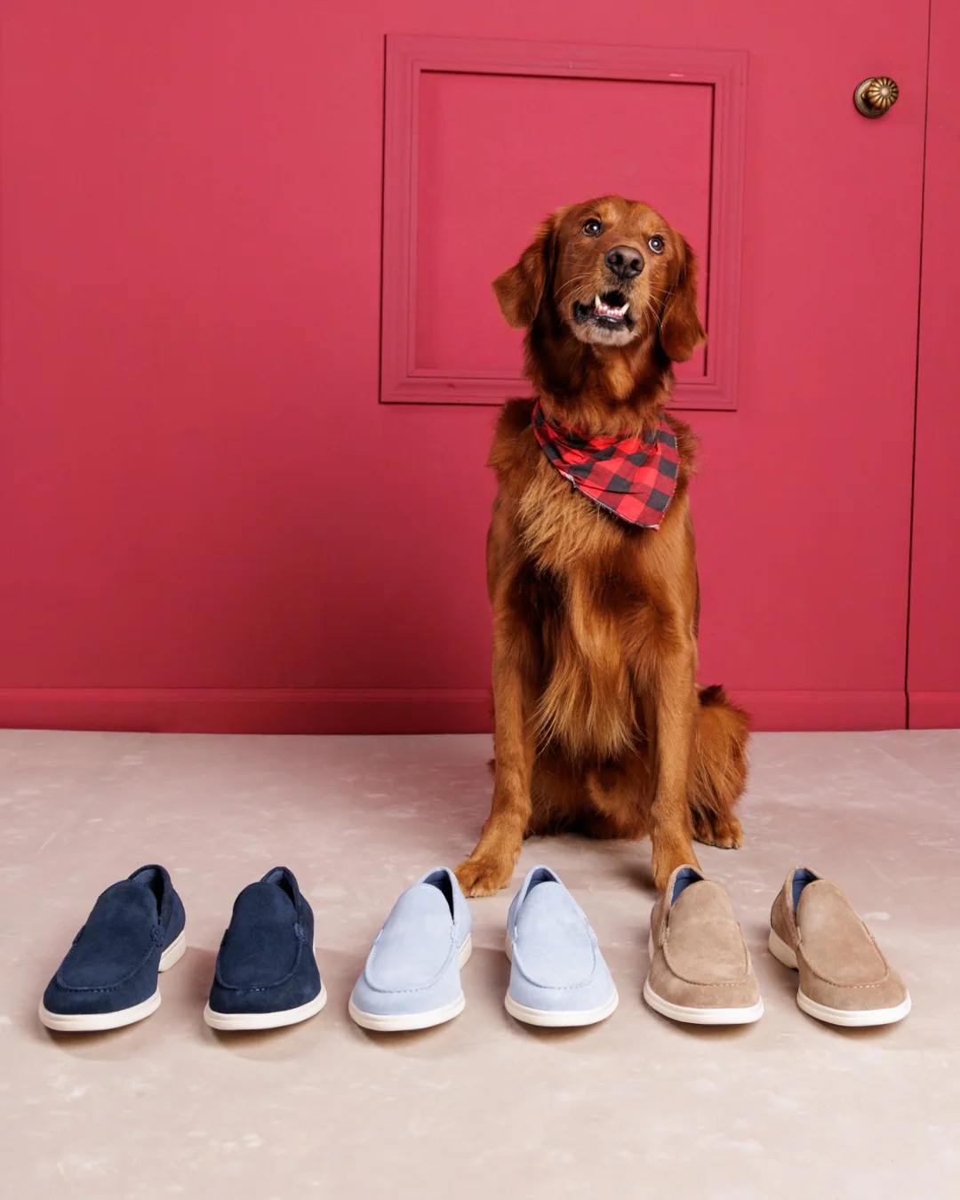 Viserys Navy Suede - Image 5