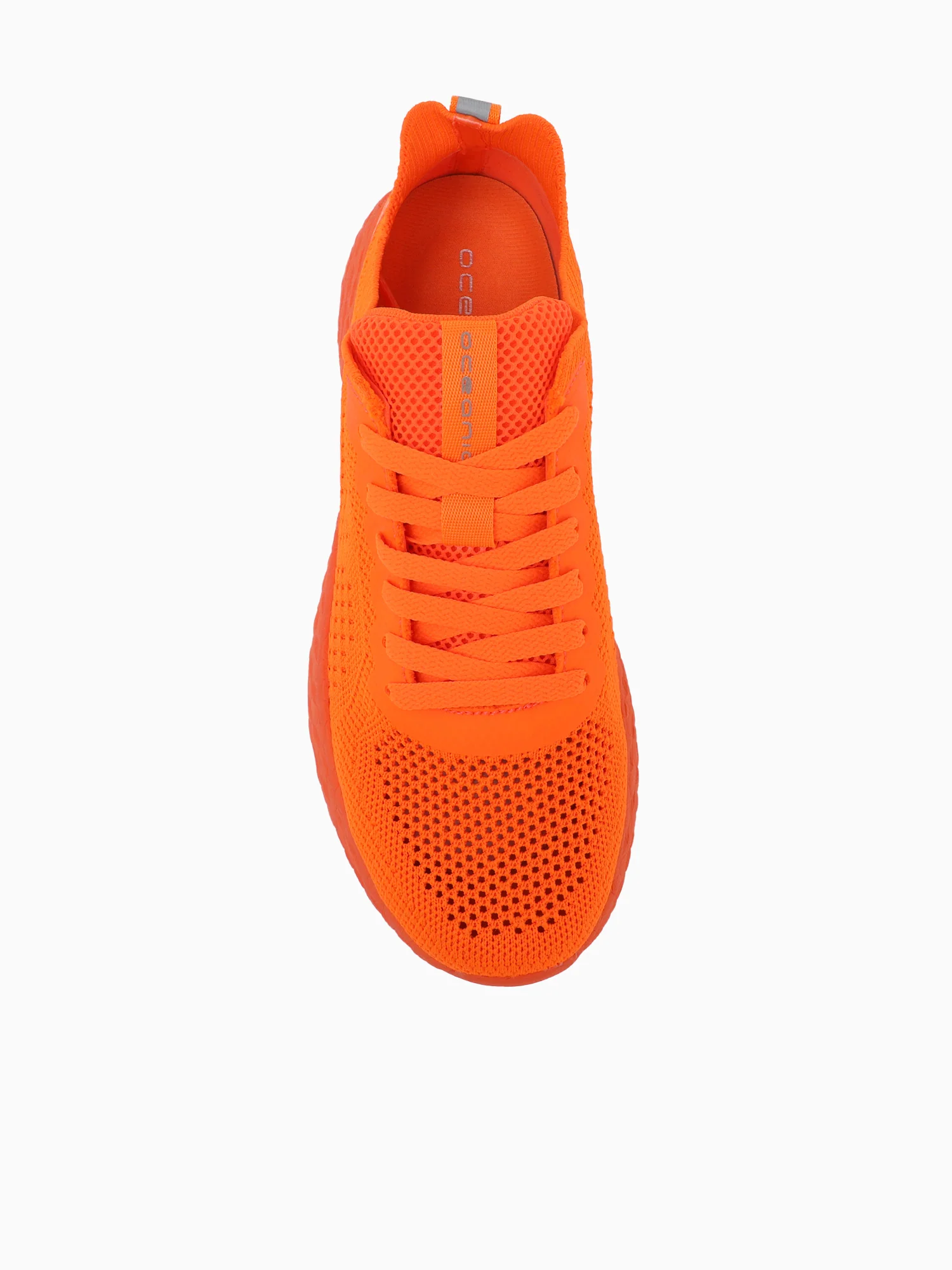 Koral Snaper Orange - Image 4