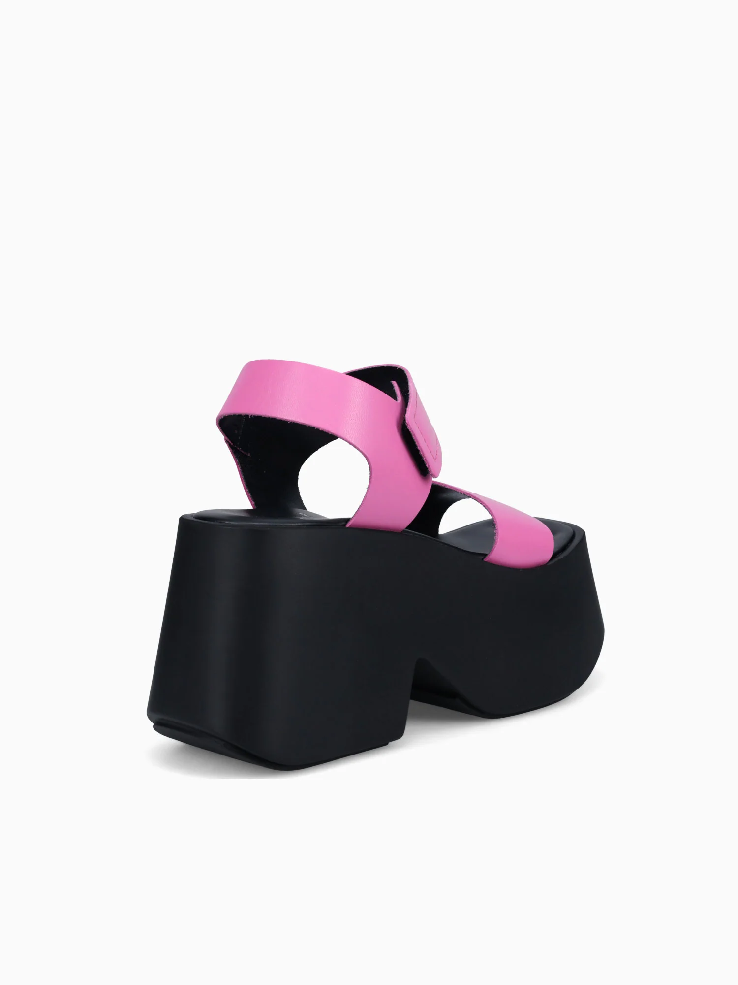 503 Fuxia - Image 4